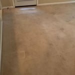 Wall to wall carpet cleaning