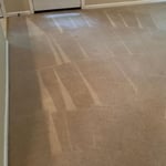 Wall to wall carpet cleaning