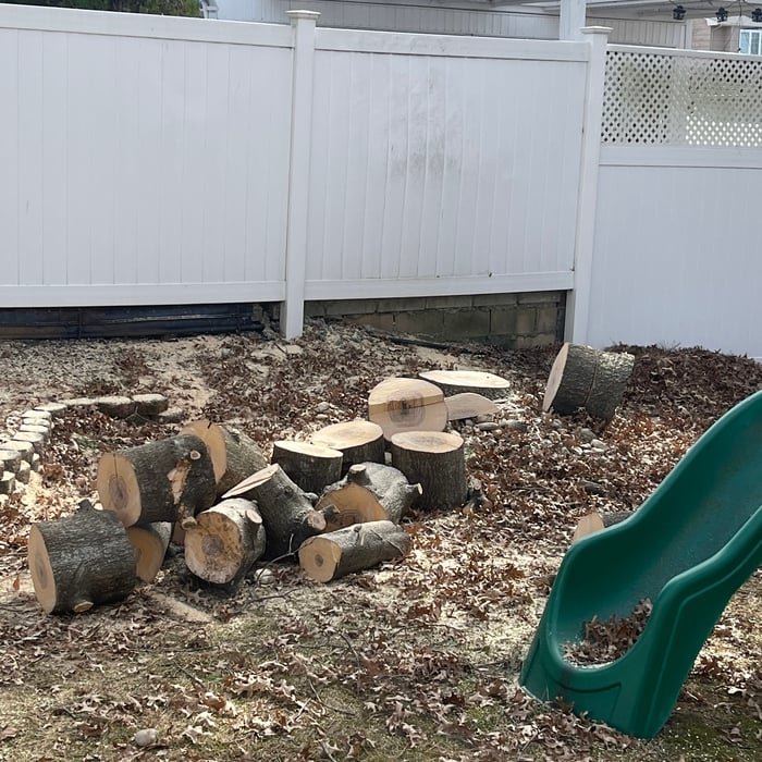 5 small trees removed and 2 trees trimming