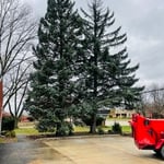 Tree Service Project