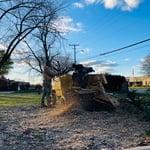 Tree Service Project
