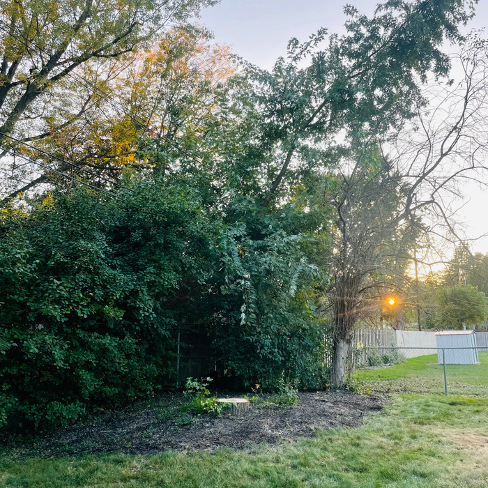 Additional Photos