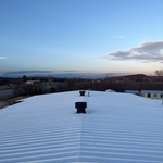 Roofing Project
