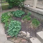 House front bed rescue before.