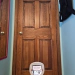 Cat Door