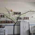 Wall paint and decorative expression