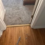 Midway Carpet Restretch