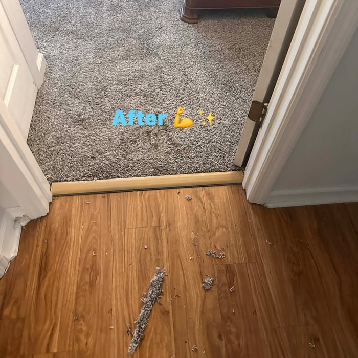 Midway Carpet Restretch