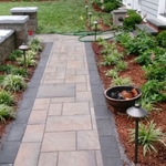 Planting walkway 2019