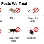 Some pests we treat