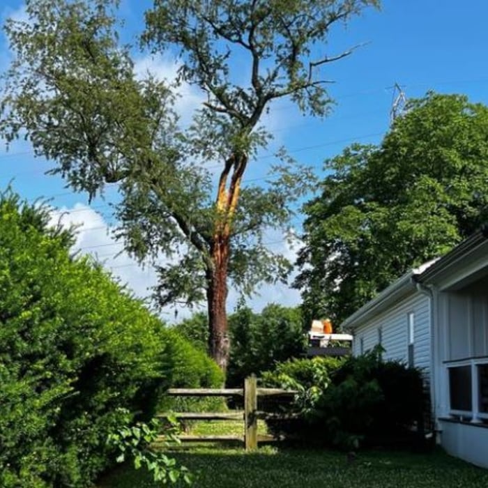 Additional Photos
