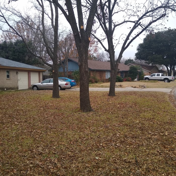 Additional Photos