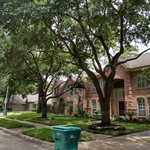 Tree Service Project