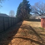 Tree removal + stump grinding