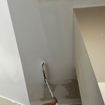 Painting the ceilings