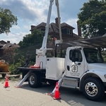 Removing the tree safely with our bucket truck