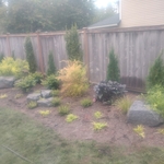 After our thorough plantings are solidified, the next step is to apply mulch around the beds to make her backyard pop!