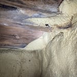 Crawlspace Structural Repair