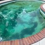 Pool & Spa Service and Repair Project