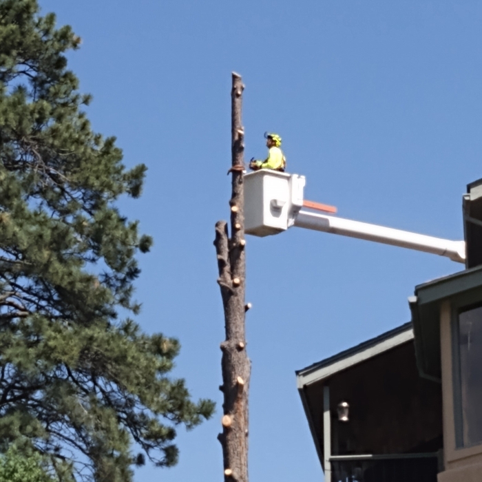 Additional Photos