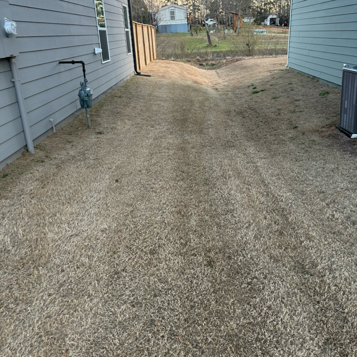 Additional Photos