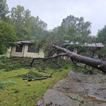 Tree work during storm