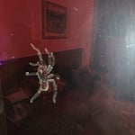 Preventative Maintenance for Occasional Invaders