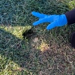 Prairie Dogs/ Voles/ Moles/ Gopher Eradication