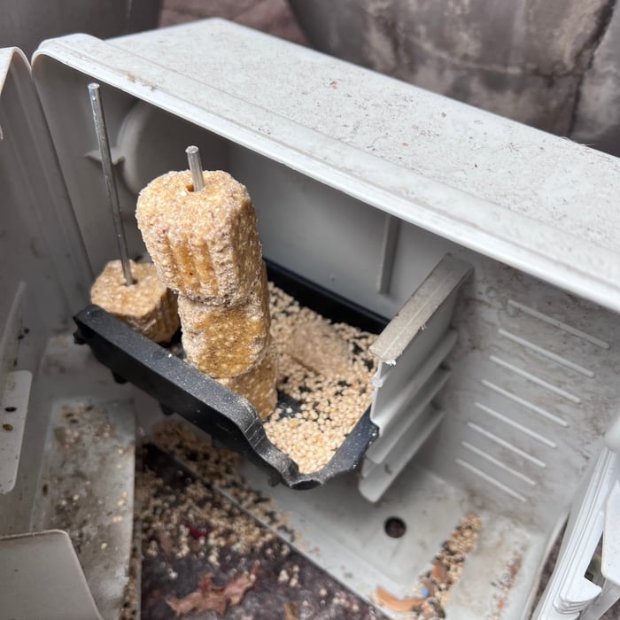 Affordable, Effective, and Discreet Rodent Control