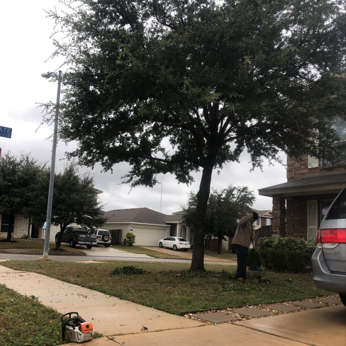 Additional Photos