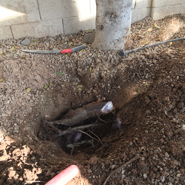 Additional Photos