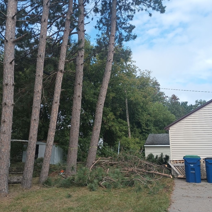 Additional Photos