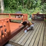 Painting - Interior Project