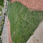 Sod and artificial turf