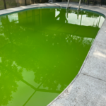 Pool before treatment