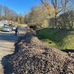 Leaf Removal