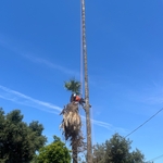 Visalia?