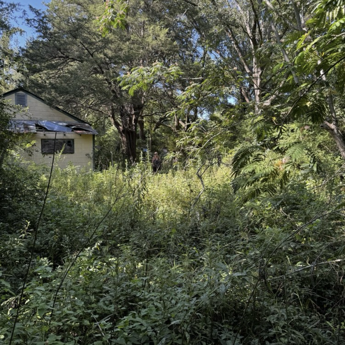 Additional Photos