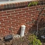 Rodent Abatement