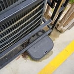 Rodent Abatement