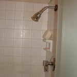 Shower Before