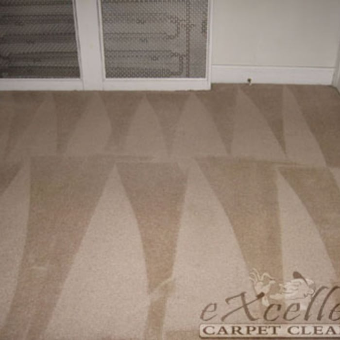 After pre-spray and steam cleaning, carpets are restored