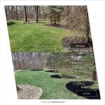 Mulch before and after