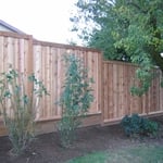 Fencing