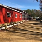 Blue star stables