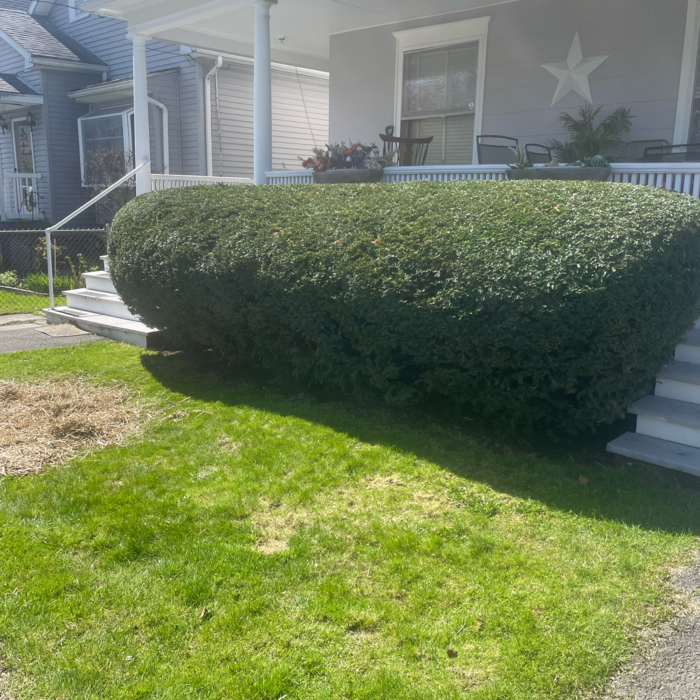 Additional Photos