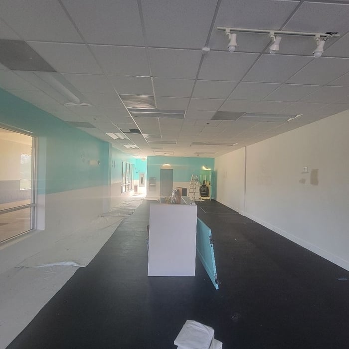 Painting - Interior Project