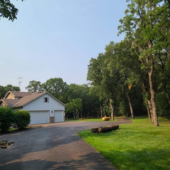 Oak Tree Removal