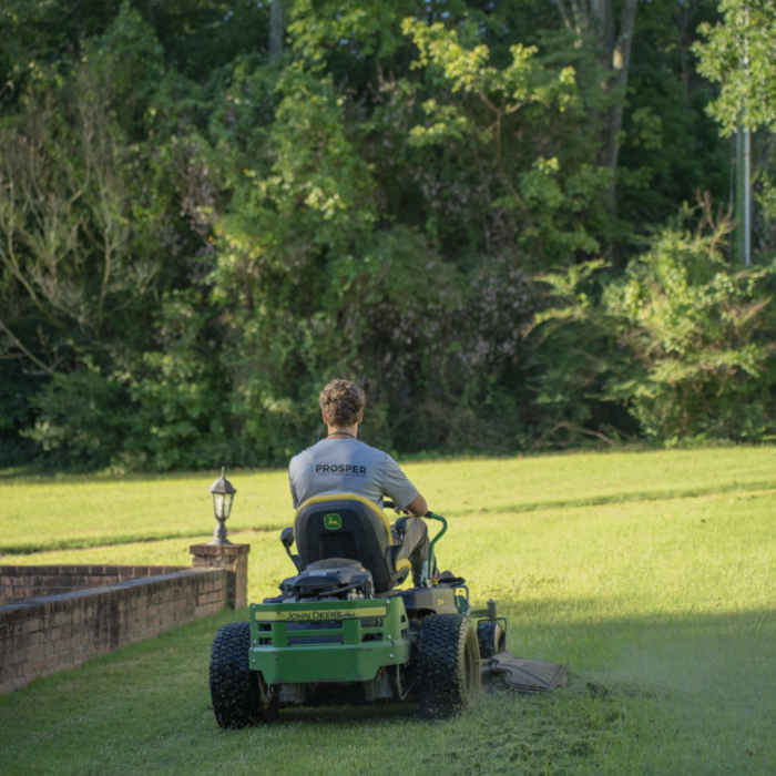 Yard Services