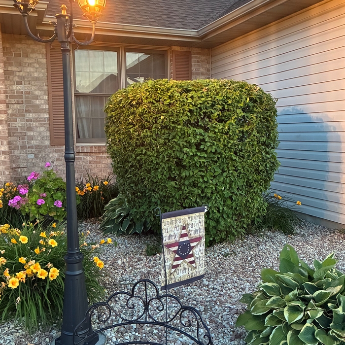 Yard Post Light Replacement